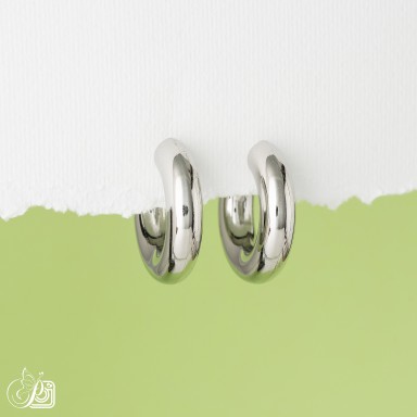 Earrings in stainless steel