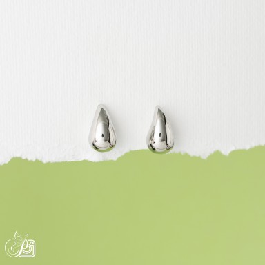 Earrings in stainless steel