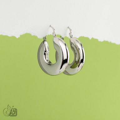 Earrings in stainless steel